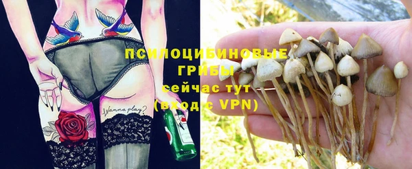 дмт Балахна