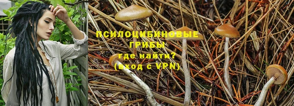 дмт Балахна