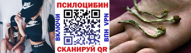 Псилоцибиновые грибы ЛСД  закладки  Пролетарск 